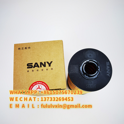 Εφαρμόσιμος στον εκσκαφέα sy55c-9 φίλτρο 60151839 Sany diesel 60C-9 65C-9 75C-9